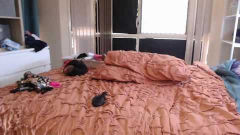 total_aussie_milfs free recording from 2025-10-14 03:53:00