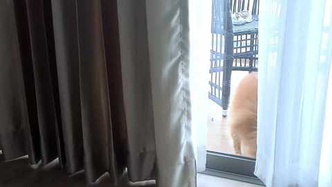 _demi_dee_ free recording from 