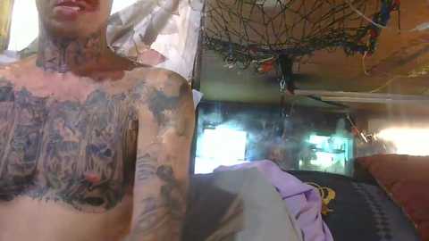 cotybonilla free recording from 