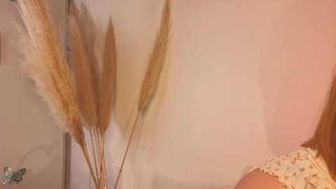 maybaybe free recording from 2025-10-16 21:51:00