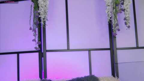 xenomy free recording from 2025-10-16 11:23:00