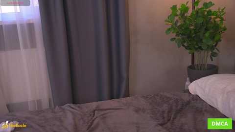 bellacle free recording from 2025-10-17 12:28:00