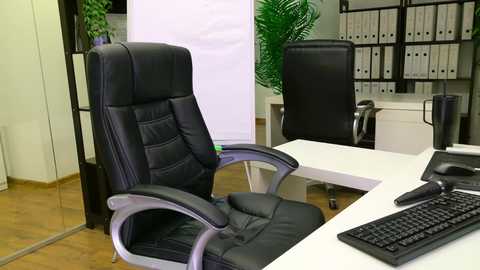 babesgowild free recording from 2025-10-18 09:34:00