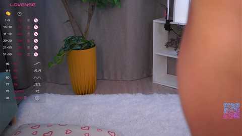 cinacandy free recording from 