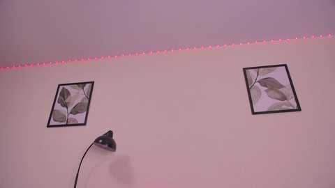 girlswannasex free recording from 