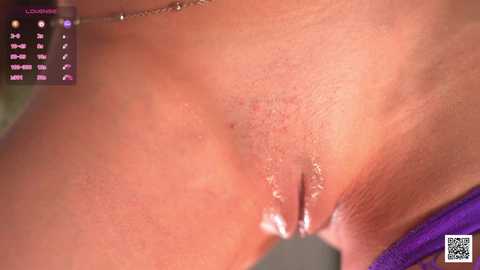 myliss free recording from 