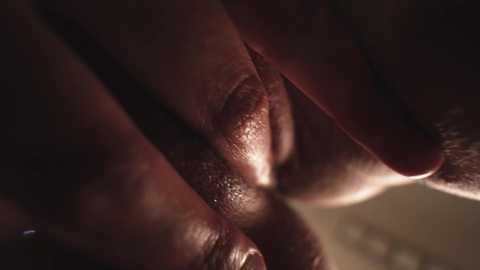 sunshine_______ free recording from 