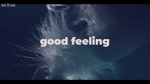 taanni_bc free recording from 2025-10-18 03:48:00