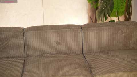 anabel054 free recording from 2025-10-19 00:52:00