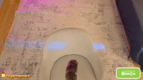 vulgarmanners_ free recording from 2025-10-19 13:47:00