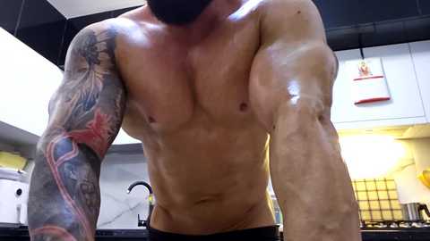 adonis_msc free recording from 