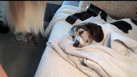 andreaelizabethxo free recording from 