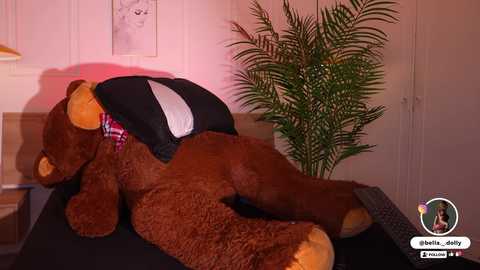 bella__donne free recording from 2025-10-20 16:17:00