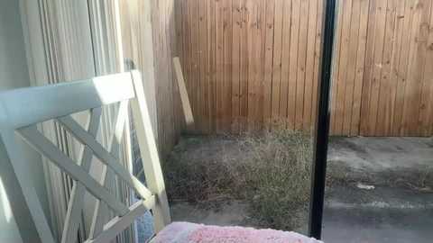 jasminetate free recording from 