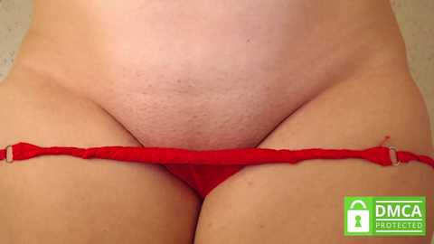 mollywayne free recording from 