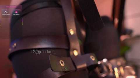 nicdani_1 free recording from 2025-10-20 05:59:00