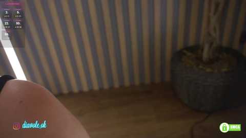 _kateline_ free recording from 2025-10-21 19:52:00