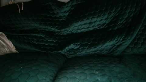 bigdicktrannynicole free recording from 2025-10-21 13:20:00