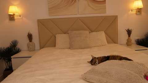 funny_to_see_you_here free recording from 2025-10-21 14:37:00