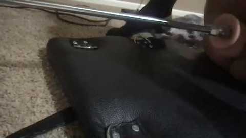 baileycat2525 free recording from 