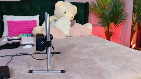 kirrawhite free recording from 2025-10-22 10:05:00