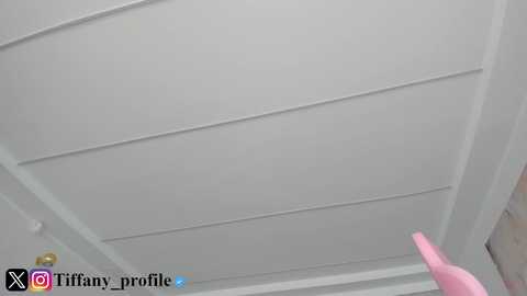 tiffanyhouston_ free recording from 2025-10-22 06:40:00