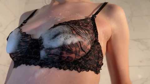 wonderland_stia free recording from 