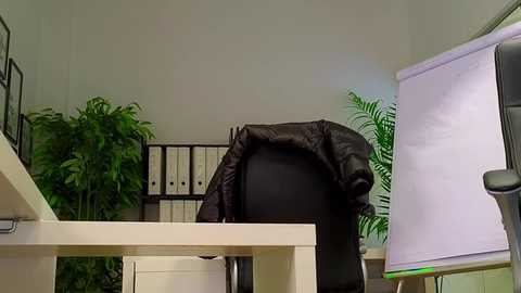 babesgowild free recording from 2025-10-23 09:49:00