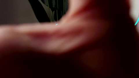 oliviaowens free recording from 2025-10-23 01:54:00