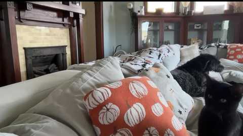 andreaelizabethxo free recording from 