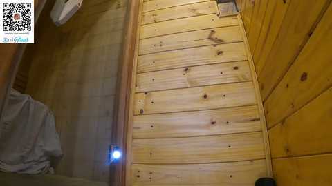 the_pussy_boulevard free recording from 2025-10-24 04:10:00