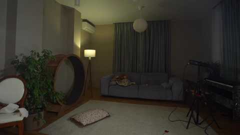 heybanan free recording from 2025-10-25 01:49:00