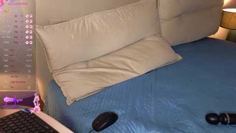 brightrays__ free recording from 