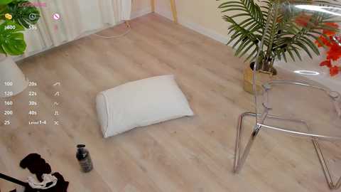 milliminimouse free recording from 2025-10-26 04:33:00