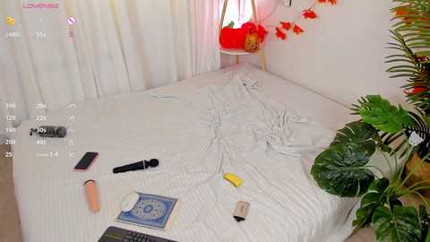 milliminimouse free recording from 2025-10-26 05:57:00