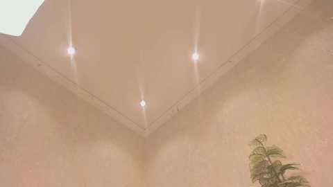 rei_ramiki free recording from 