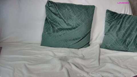 sellapink free recording from 2025-10-26 17:39:00