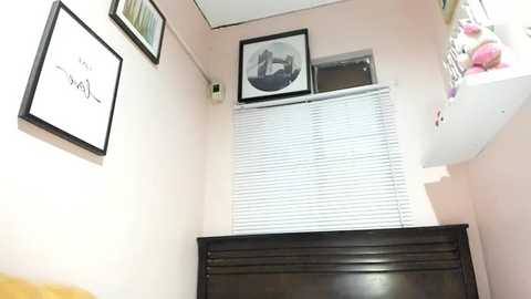 xdreamangel free recording from 