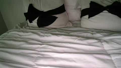 bigdicktrannynicole free recording from 2025-10-27 16:05:00