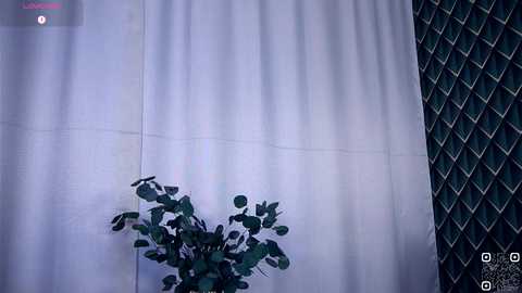 felissiany free recording from 2025-10-27 12:27:00