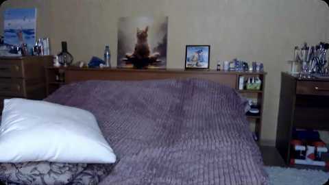 hugetittiesgerda free recording from 2025-10-27 22:28:00