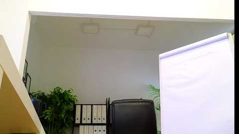 babesgowild free recording from 2025-10-28 10:01:00