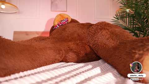 bella__donne free recording from 2025-10-28 14:48:00