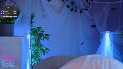 quennacindy free recording from 