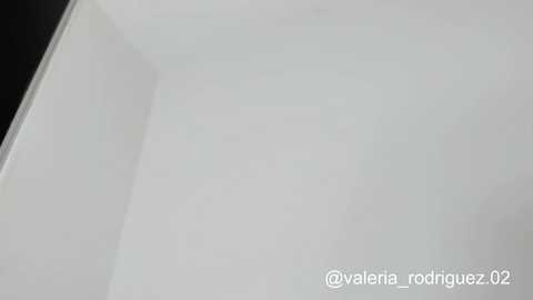 valeria_prins free recording from 2025-10-28 06:28:00