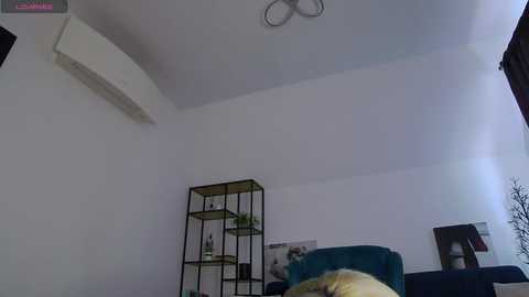 allayah free recording from 2025-10-29 13:49:00