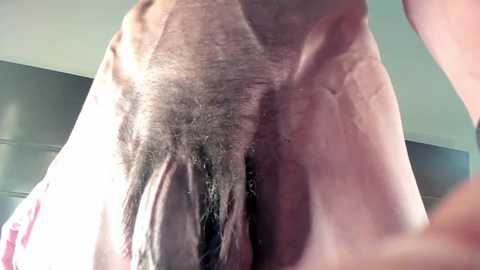 beranco19 free recording from 2025-10-29 22:02:00