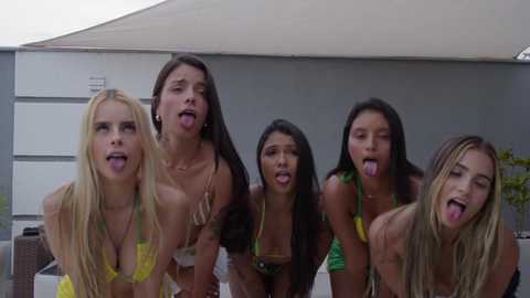 brazilians_doitbetter free recording from 2025-10-29 18:52:00