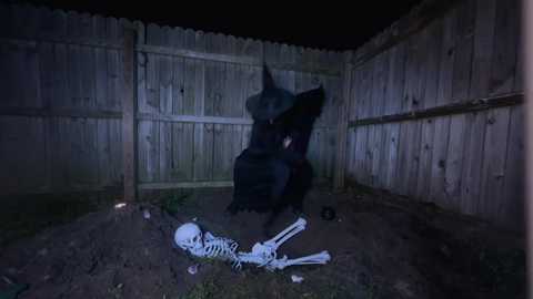 hexivu free recording from 2025-10-29 05:16:00