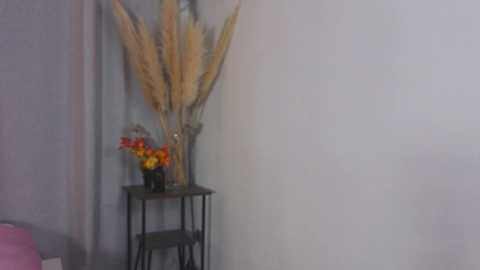 maybaybe free recording from 